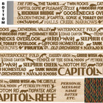 Capitol Reef National Park Themed Walking Stick and Hiking Stick