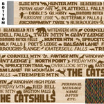 The Catskills - Themed Hiking-Walking Stick Emblaze Your Trail