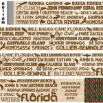 Florida State Parks Themed Walking Stick