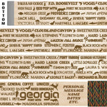 Georgia State Parks Themed Walking Stick and Hiking Stick