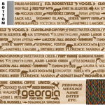 Georgia State Parks Themed Walking Stick and Hiking Stick