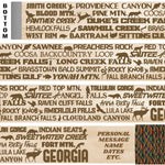 Popular Georgia Trails Themed Walking Stick
