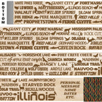 Illinois State Parks Themed Walking Stick