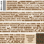 New River Gorge National Park Themed Walking Stick and Hiking Stick