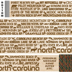 North Carolina State Parks Themed Walking Stick