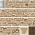 Pacific Coast Trail Themed Walking Stick Detail