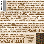Saguaro National Park Themed Walking Stick and Hiking Stick