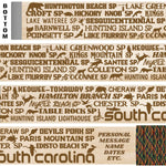 South Carolina State Parks Themed Walking Stick and Hiking Stick