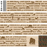 Ice Age Trail Themed Hiking-Walking Stick Emblaze Your Trail
