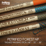 Petrified Forest National Park Themed Walking Stick