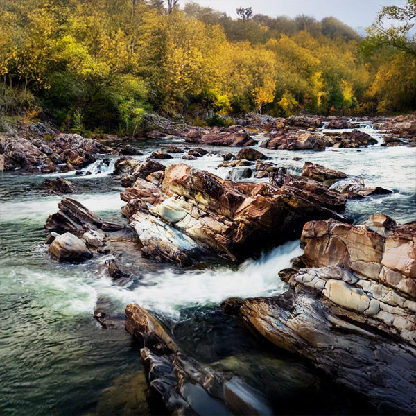 Cossatot Falls Trail