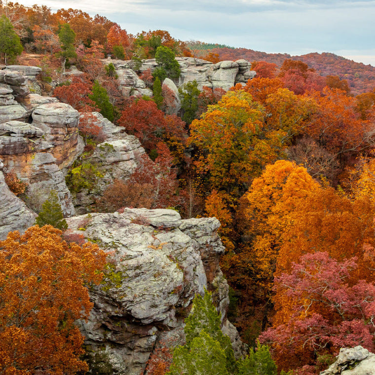 Shawnee NF | So. Illinois