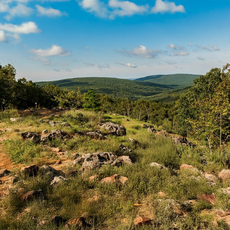 Taum Sauk Mountain Trail