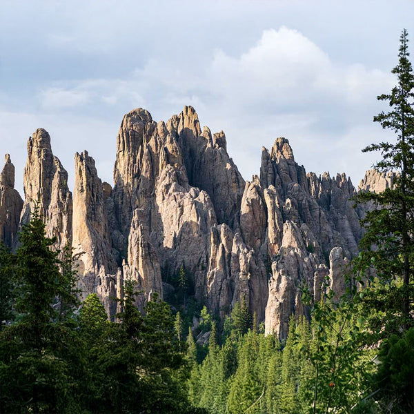 Black Elk Peak Trail