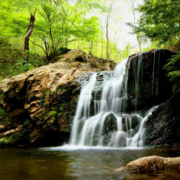 Cascade Falls Trail