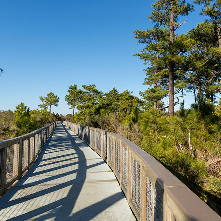 20 Popular Delaware Hiking Trails