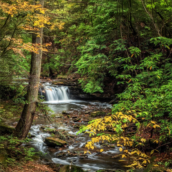Fiery Gizzard Trail - Cumberland Region
