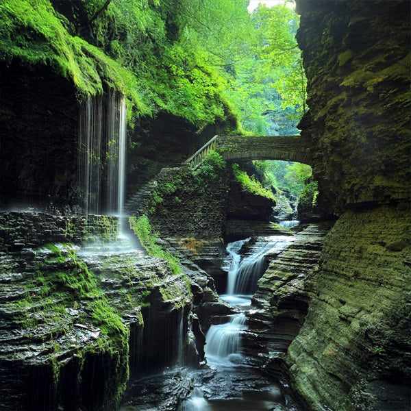Gorge Trail