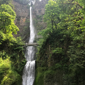 Hiking Destinations: Columbia River Gorge