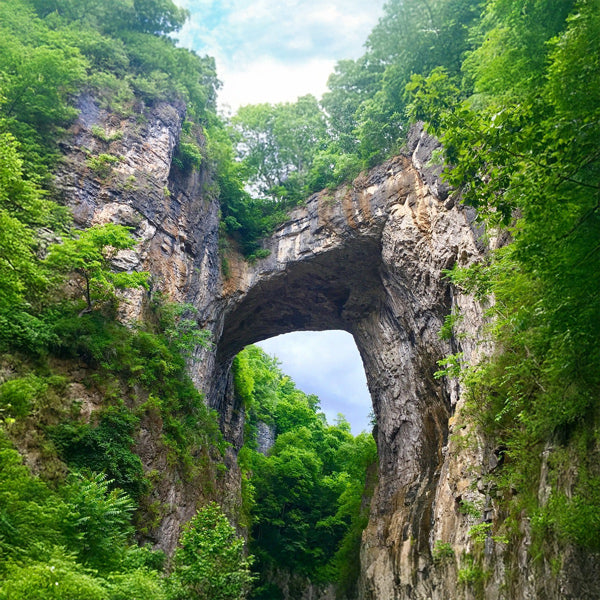 20 Popular Virginia Trails
