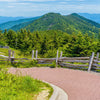 Mount Mitchell State Park