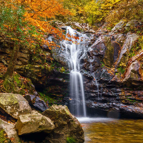 Pevine Falls Trail, AL