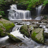 Ricketts Glen State Park