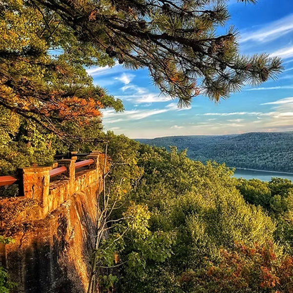 Allegheny National Forest - PA