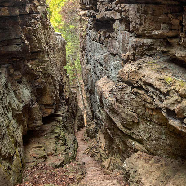 20 Popular Tennessee Hiking Trails