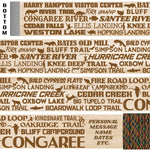 Congaree National Park Themed Walking Stick and Hiking Stick
