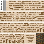 Mt. Rainier National Park Themed Hiking Stick