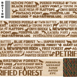 Petrified Forest National Park Themed Walking Stick