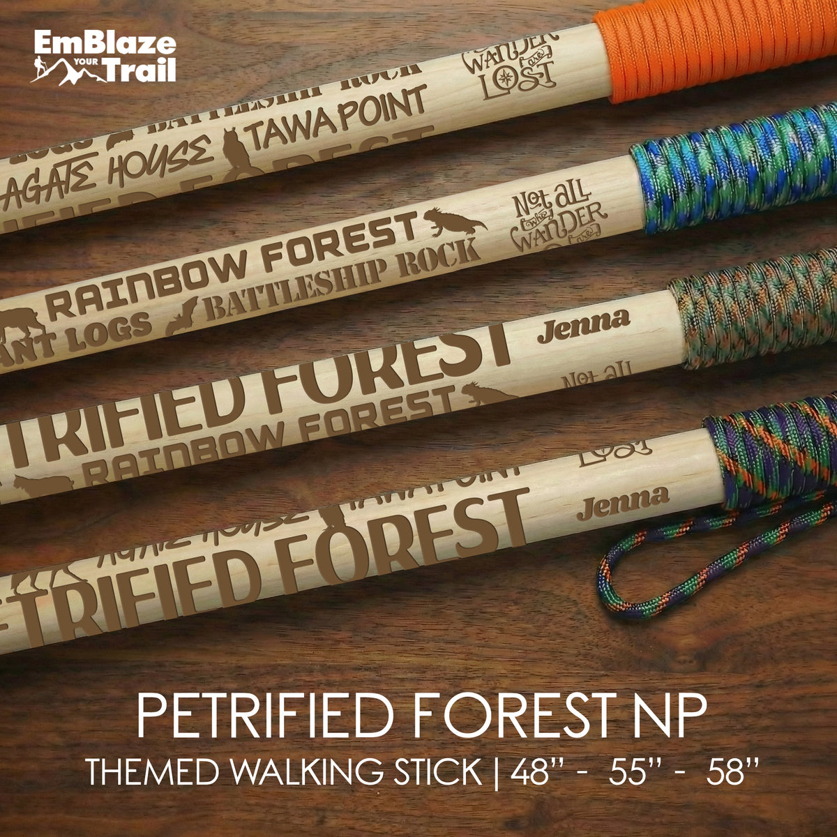 Petrified Forest National Park Themed Walking Stick