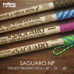 Saguaro National Park Themed Walking Stick and Hiking Stick